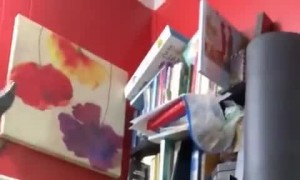 Jenna the Cow Would Make a Terrible Librarian