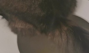 Cat Uses Toilette Right Next to Litterbox