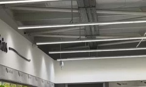 Shopping Cart Stunting Fail