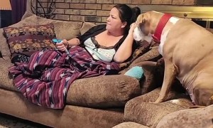 Replacing the Tube M&M's with a Hot Dog