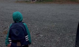 Kiddo Fails at Moose Check