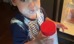 Chugging Parmesan Cheese