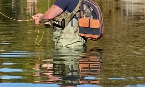 Frenchie's Not a Fan of Fly Fishing