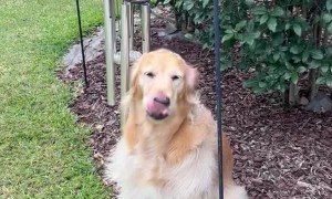 Bleu Sings a Song for You