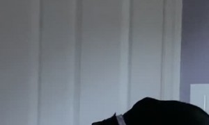 Clever Cat Makes An Escape