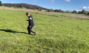 Popping a Water Bubble in the Lawn
