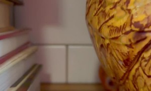 Ollie the White-Bellied Parrot Slides into Frame