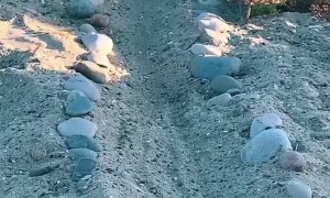 Turning a Cement Cube on the Beach into Tooth Fairy's Beach House