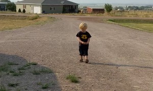 Playing Find the Specific Rock With Dad