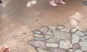 Girl Makes Uneasy Truce During Halloween Season