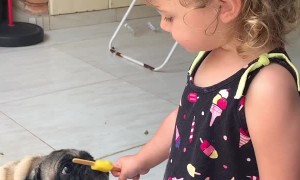 Kiddo Shares Treat and Goes Back for a Taste