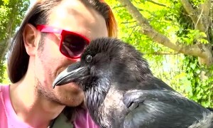 Human and Raven Do Adorable Duet