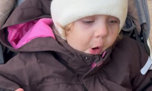 A Girl Wakes to Protect Her Treasure
