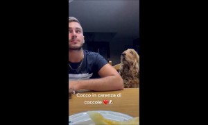 Cute Dog Reminds Human About Kisses