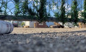 Cat Brought Home a Little Bunny and it Got Stuck in a Tube