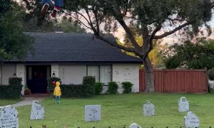 Floating Max Halloween Decoration