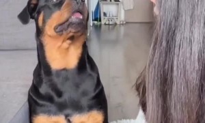 Emma hates secrets 🤣🤍