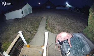 Cold Cat Climbs In for a Swim