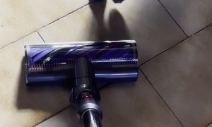 Cat Gets a Vacuum Scare