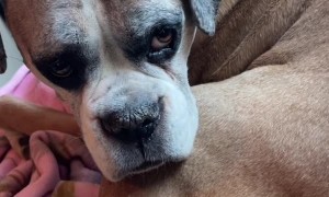 He Interrupted My Mental Breakdown