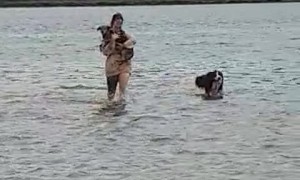 Mom Saves Pup That Hates Water and Froze Chasing Birds