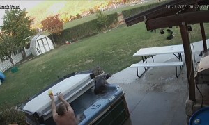 Doggo Jumps into Hot Tub and is Surprised