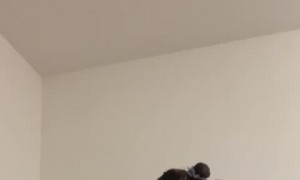 Doggo Protects Boyfriend by Pulling Hair