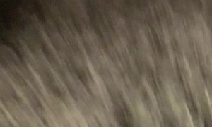 Sisters on Scooters Collide