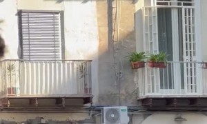 Guy Pulls up on Moped and Fires Handgun for Netflix Show