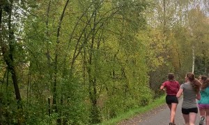 Joggers Pass Bear in Tree