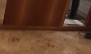 Girls Making a Video Get Interrupted