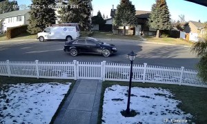 Person Learning to Drive Confuses Gas and Brake