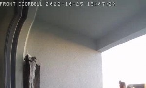 Delivery Driver Spooked by Skull Animatronics