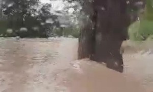Flood Waters Too Much For Truck
