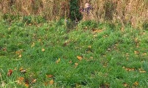 Bike Blunder Sends Girl Down a Hill