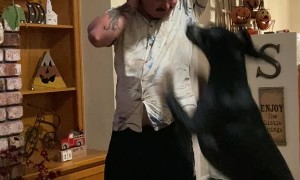 Guy Tries to Take a Drink While Wearing Shock Collar