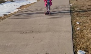 Kids Riding Scooters Downhill Wreck Simultaneously