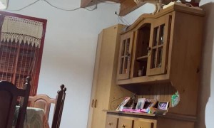 Cat Flies Across the Room