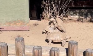 Another Family-Friendly Day at the Zoo