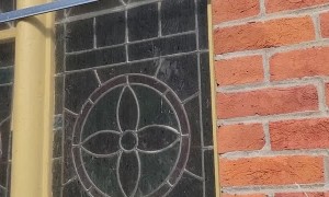 Trapped Bird Freed From Window