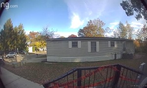 Greedy Candy Grabber Pt. 2