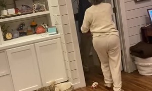 Lady Hits the Dance Floor