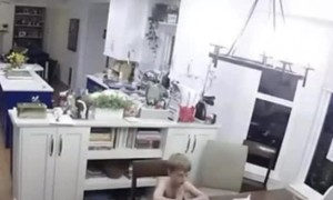 Son Shows Incredible Emotional Self-Regulation in Challenging Situation