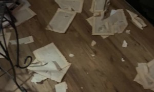 Gertie the Pup Tears Up Old Dictionary