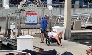 Woman at the Docks Gets Pulled Along in Cart