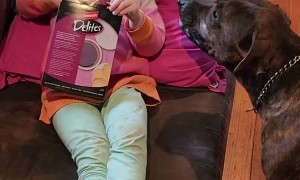 Girl and Her Dog Share Chips