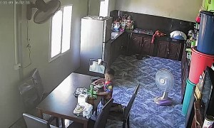 Fan in Free Fall Frightens Kid Eating Food