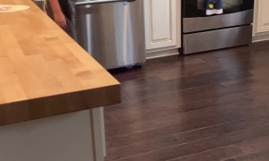 Kid Pulls Brother on Hoverboard