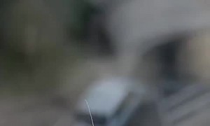 Mantis Scares Humans