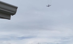 US Military B-52 Bomber Hits Birds Mid Flight